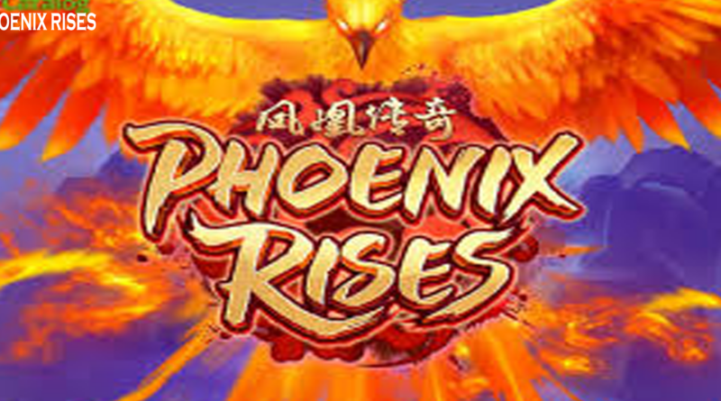 Phoenix Rises